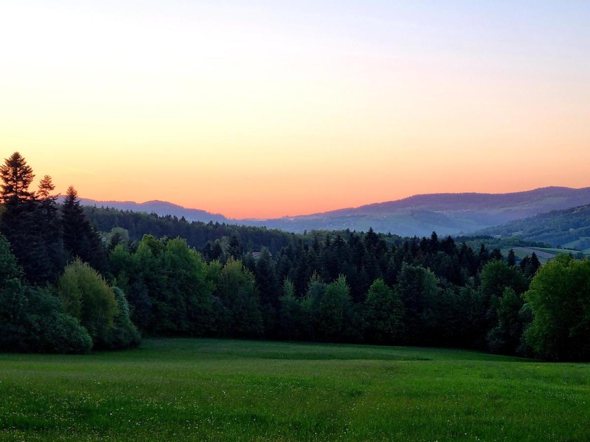 Klimkowka Pod Gwiazdami - Sauna, Jacuzzi, Basen Buitenkant foto
